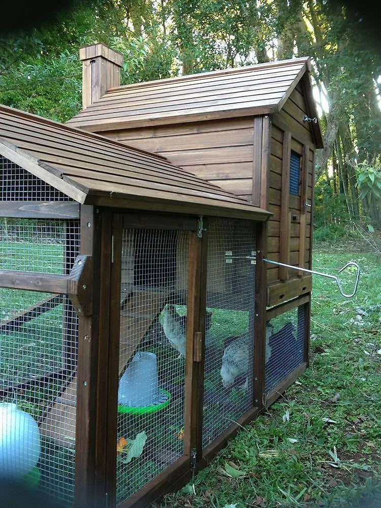 Eden Lodge Nambour Frühstückspension