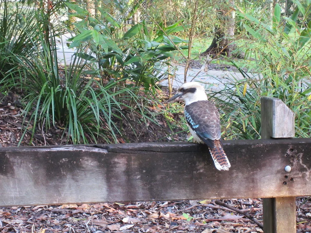 Frühstückspension Eden Lodge Nambour